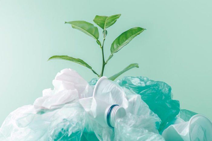 Import Packaging Biodegradable electronics