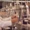 Lab automation tools
