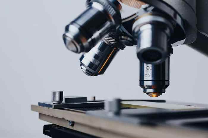Bacteria, medical, biology, health, anatomy, science, medicine ... Biotechnology and gene editing