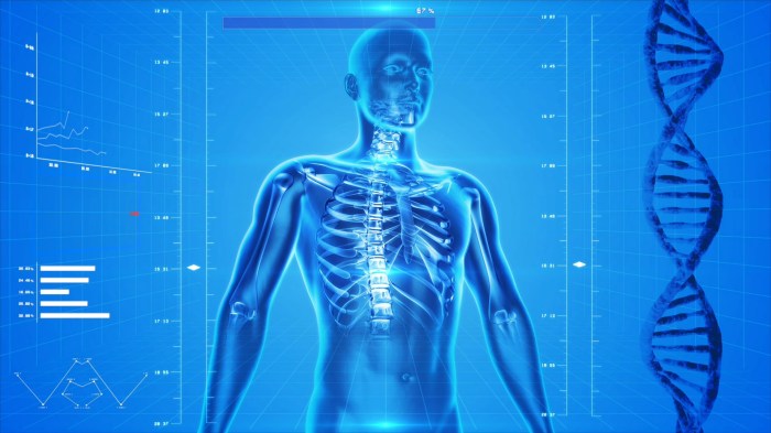 Anatomy High-tech Free Stock Photo - Public Domain Pictures Tech behind streaming platforms