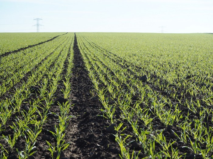 1920x1080px | free download | HD wallpaper: The Global Elite, Counter ... Technology in agriculture