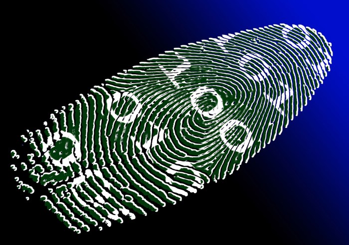 Binary Digital Free Stock Photo - Public Domain Pictures Digital transformation strategy