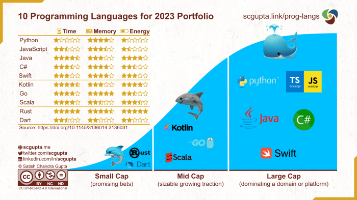 Top Ten Programming Languages 2025 - Lib Pattie Top programming languages 2025